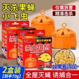 雷灭速日本小飞虫果蝇诱捕器2盒 苍蝇神器灭蝇器杀蝇饵剂粘捕驱赶呋虫胺