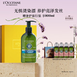 欧舒丹【李昀锐同款】礼盒草本舒缓去屑去痒洗发水500ml洗发露蓬松清洁