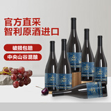 The Strong Sailor水手混酿干红葡萄酒750ml*6整箱红酒 智利进口红酒 送礼礼盒装