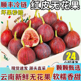 京蚨鲜【顺丰冷链】无花果鲜果云南红皮无花果干孕妇水果新鲜水果 1斤尝鲜【30-80克】净重0.8斤