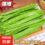 山东新鲜大扁芸豆芸豆角无丝豆四季豆嫩芸豆现摘当季新鲜蔬菜包邮 山东扁豆角250g试吃
