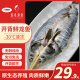 知吃甄选开背鲟鱼500g冷冻生鲜美味鱼类淡水鱼无刺鱼肉开袋即烹免杀免洗