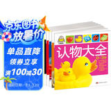 0-3岁认知识字早教大书（套装全5册）识车认物动物唐诗识字