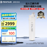 滨特尔（pentair）大白瓶前置过滤器 全屋家用自来水过滤器 前置净水器大蓝瓶 中央净水机大流量大胖瓶高精度 【20寸大白瓶】包安装