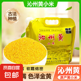 山西沁州黄小米 油小米 月子米山西特产新小米五谷杂粮粗粮小米粥 沁州黄小米5斤 壶嘴精装 山西沁州黄小米