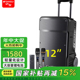 山水（SANSUI） A系列户外专业K歌唱歌 演出广场舞 音响移动拉杆 蓝牙5.0音箱便携低音炮会议培训 A12（12吋音响+话筒）