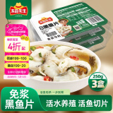 冻品先生 安井 免浆黑鱼片 250g*3盒  水煮鱼生鲜食材 冷冻鱼类方便菜