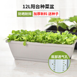 花沃里花盆大号带托盘2个装 阳台种菜盆种植箱种子育苗盘长方形塑料花盆