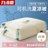 九洲鹿A类抑菌被子可机洗水洗双人儿童被子200×230cm
