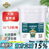 德沃多肥料 大树营养液1L*12袋/桶树木移栽补充剂肥料吊针生根液活促发芽