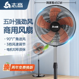 志高（CHIGO）电风扇落地扇家用台式夏天小宿舍遥控立式摇头工业大风力电扇 18英寸经济型工业扇
