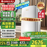 格力（GREE）除湿机家用抽湿机除湿量40升/天低噪除潮防霉除湿器智能控湿一键干衣单间参考面积80平DH40EF