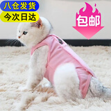 迪普尔 母猫绝育服猫咪手术服手术衣宠物猫衣服断奶服猫猫防舔服恢复服* 粉色 S【适合3-5斤内猫咪】