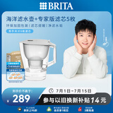 碧然德（BRITA）过滤净水器 家用滤水壶 Kalea 晨汐系列XL  3.5L（灰）+专家版滤芯5枚 环保加固包装