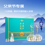 西凤酒 华山论剑勇智敏仁20年 52度 500ml*2瓶 凤香型白酒父亲节礼盒 