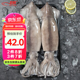 初鲜鲜冻大鱿鱼净重1.2-1.3斤 铁板鱿鱼 火锅烧烤食材 海鲜送礼软足类