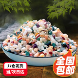 茨格曼鱼缸底砂 鱼缸造景石 雨花石 鹅卵石 夜光石溪流石 五彩石白石子 鱼缸造景-天然五彩石2.5kg