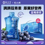 宁安堡杞小养蓝莓原浆不添加花青素蓝莓汁沙棘汁VC原液 团购送礼送长辈 蓝莓原浆2700ml【90袋】