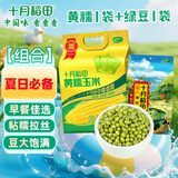 十月稻田 十月稻田 黄糯玉米8根+绿豆1kg 早餐粗粮 真空包装