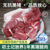 初土记无抗黑猪肉3斤 土猪腿肉礼盒 纯粮散养前后腿肉 土猪肉慢长1年