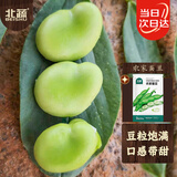 北蔬 蚕豆种子种苗兰花豆青豆四季蔬菜种籽 农家蚕豆种子50g约35粒