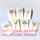 香微送妈妈生日礼物实用40母亲婆婆50岁60长辈女士手提包包女包2025年 【代写贺卡】请拍这个 【送长辈的暖心礼物】