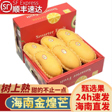 春福乐 【顺丰速运】海南三亚金煌芒 现摘芒果新鲜水果礼盒装 大果净重5斤丨时令尝鲜丨单果250g+ 陆运一级果【性价比推荐】
