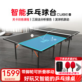 庞伯特（pongbot）乒乓球台 家用可折叠式成人乒乓球桌室内带轮含网架 可折叠 不带滚轮 CUBE智能球桌15mm