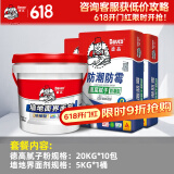 德高（Davco）德高内墙防潮腻子粉耐水环保补缝腻子膏白色墙面补墙膏20KG/包 20kg 面层腻子10包+界面剂5KG