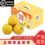 【顺丰上门】湖南郴州汝城正宗文明翡翠/黄金奈李 脱骨李子恐龙蛋 黄金奈李 净重5斤 (小果 50-70克)