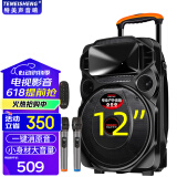 TEMEISHENG 特美声TC-105户外K歌音响重低音12吋大功率便携拉杆ktv音响专业ktv音响套装ktv音响家用广场操场 12吋重低音+双话筒+遥控器