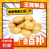 京喜加新鲜黄心土豆农家自种黄皮马铃薯黄心洋芋新鲜蔬菜 2斤