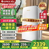 格力（GREE）除湿机家用抽湿机除湿量40升/天低噪除潮防霉除湿器智能控湿一键干衣单间参考面积80平DH40EF