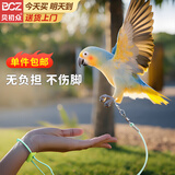 贝初众鹦鹉牵引绳放飞绳鹦鹉脚链脚环不伤脚外出遛鸟绳玄凤鹦鹉鸟类用品 6号+2米绳【八哥玄风小太阳等】