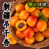 京世泽【顺丰空运/新疆直发】新疆小红杏 吊干杏 时令水果礼盒 精品果净重2斤彩箱【顺丰空运】