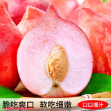 甘福园河北春雪水蜜桃现摘新鲜脆甜多汁孕妇水果蟠桃油桃甜整箱现货速发 春雪水蜜桃【净重2斤】 【尝鲜装】试吃小果，单果100g+