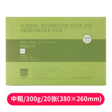宝虹保定宝虹水彩本四面封胶300g水彩本纯棉水彩纸水彩速写本 8k中粗【300g】