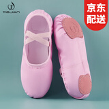 铁箭（TIEJIAN）舞蹈鞋女童免系带软底芭蕾猫爪成人儿童练功形体鞋中国舞鞋大码男 深粉色 30/19cm