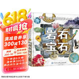 DK儿童图解百科全书岩石与宝石