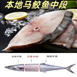 彩双海南海马鲛鱼切片中段特大马鲛鱼深海活冻海鲜鲜活水产冷冻海鱼 马鲛鱼中段3斤【2-3片/斤】