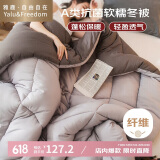 雅鹿·自由自在A类被子春秋季棉被芯单双人宿舍学生8斤200x230cm 古典灰