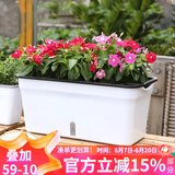 漫生活 花盆自动吸水种菜盆(约用10L土)塑料双层加厚阳台种菜箱室内花卉