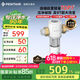 滨特尔（pentair）前置过滤器大通量家用全屋自来水管道40μm过滤器9吨/H大流量水驱涡轮+反冲洗刮洗净水器 【升级9T/H】S160前置过滤器