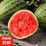 全美2K小糖丸西瓜 2K小糖丸西瓜3-4斤（1-2粒）