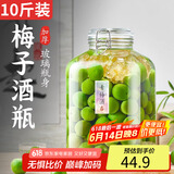 极度空间泡酒容器酒坛10斤装泡酒专用瓶玻璃罐密封罐泡菜坛酒瓶空瓶存酒瓶