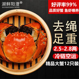 【活蟹】湖鲜阳澄 大闸蟹 去绳足重 2.5-2.8两 12只 鲜活六月黄现货超大螃蟹海鲜礼盒装
