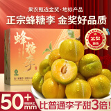 四叔公果蔬贵州蜂糖李【JD顺丰速运-多地次日达】六马脆李脱骨李子水果礼盒 【金奖】超级果王（单果50-55mm) 【豪华送礼】5斤礼盒装-老农严选