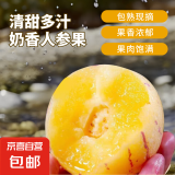 云南石林人参果野生小金蛋人生果新鲜水果圆果【轻微花皮】 带箱1斤 单果30g起