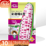 寿禾 超甜水果玉米种子大全紫糯黑甜糯可生食粘甜种孑春夏寿光蔬菜 彩甜糯6号玉米种子200g