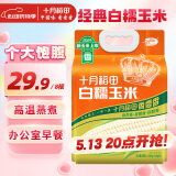 十月稻田 白糯玉米 4.16斤(260g*8根) 东北甜黏玉米棒 早餐苞米